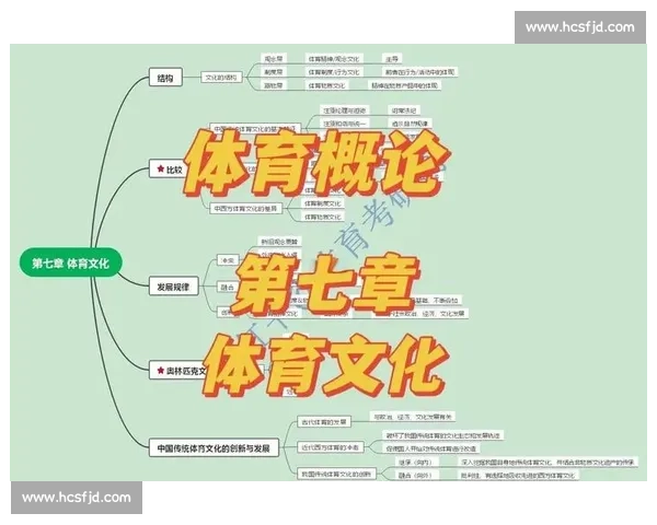 从竞技商业到全民参与体育赛事与业余体育的本质差异解析
