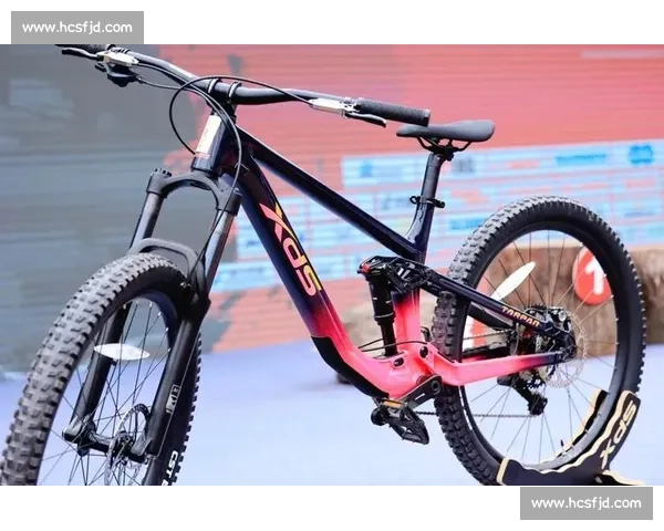 山地自行车赛点燃速度与耐力的巅峰对决之旅挑战极限征服山野赛道荣耀